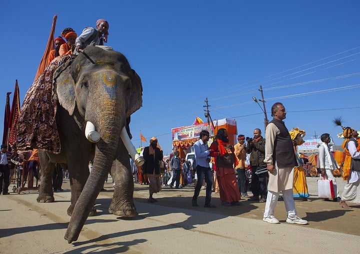 Un desfile de elefantes en la calle en Allahabad, India.