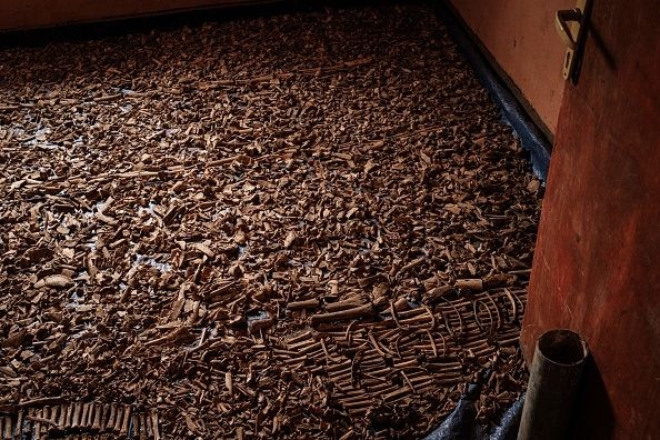 Οστά των νεκρών από την Γενοκτονία της Ρουάντα που ανακαλύφθηκαν σε μαζικούς τάφους.