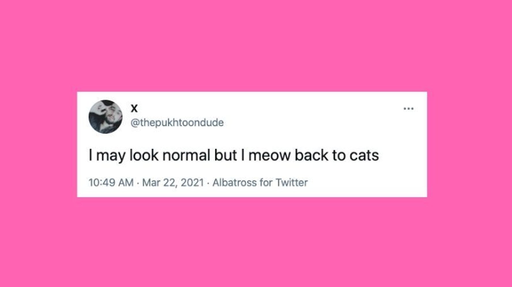 25 Of The Funniest Tweets About Cats And Dogs This Week March 20 26 25 of the funniest tweets about cats and dogs this week march 20 26