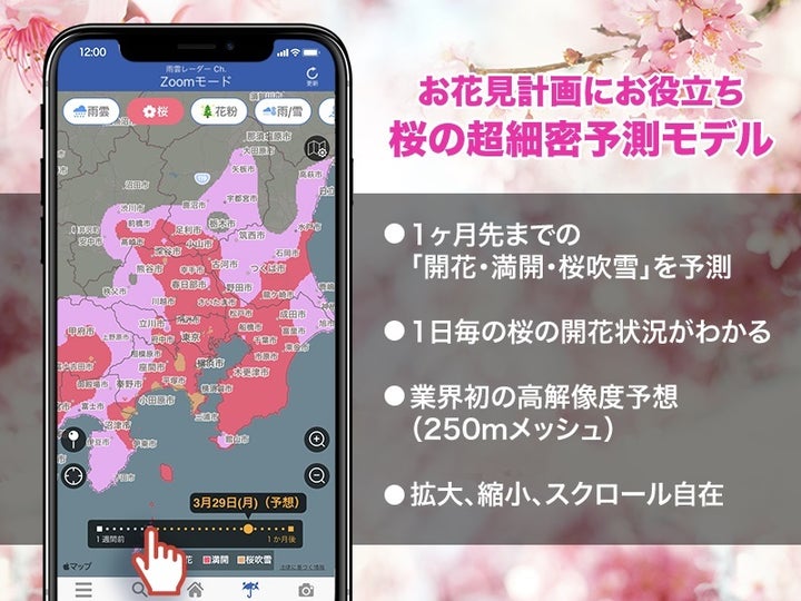 散る前に見たい 満開の桜 ある部分 を見れば 散りはじめるタイミングが分かる ハフポスト News