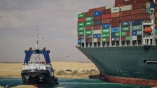 Thousands Of Animals Packed On Ships In Suez Canal Backup: Reports Thousands Of Animals Packed On Ships In Suez Canal Backup: Reports