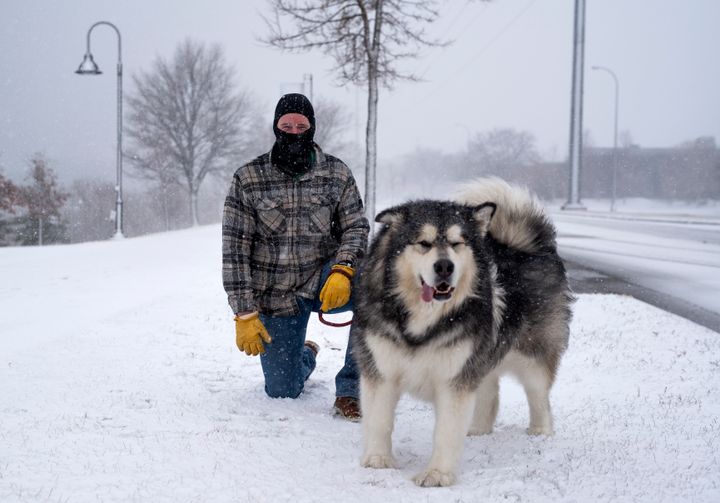 吹雪の吹くアメリカミネソタ州にて。名前は「パックス」(Photo by Stephen Maturen/Getty Images)