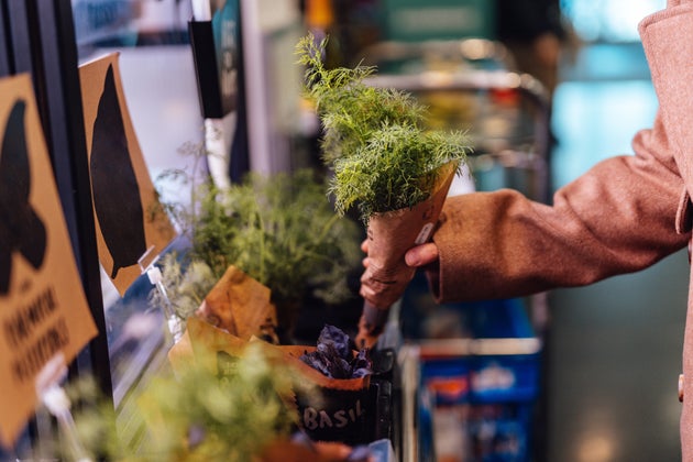 Cropped shot of young woman picking up a bunch of fresh herbs from the shelf in supermarket. Healthy vegetarian lifestyles. Grocery shopping concept.