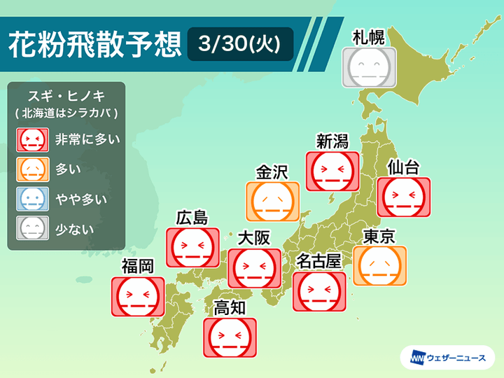 30日(火)花粉飛散予想