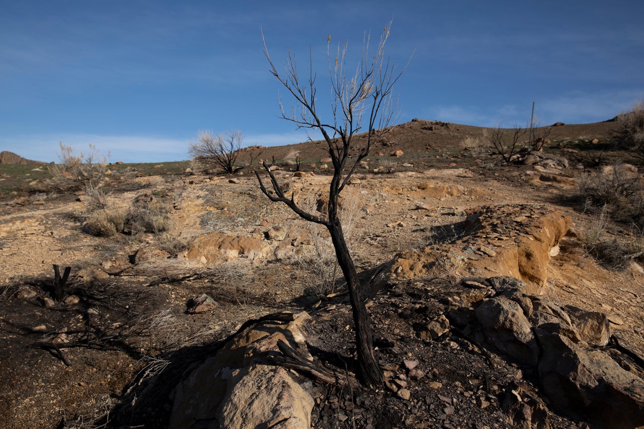 A burn area in the sagebrush along Leslie Gulch Road outside Jordan Valley, Oregon on Sunday, March 28.