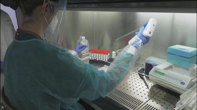 Lo studio sui vaccinati italiani: crollano contagi, malattie e morti Lo studio sui vaccinati italiani: crollano contagi, malattie e morti