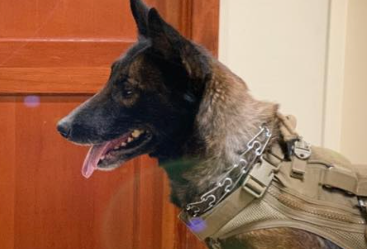 A civil rights group has asked the Bend, Oregon, Police Department to no longer refer to a canine officer named "Kim" as "Lil