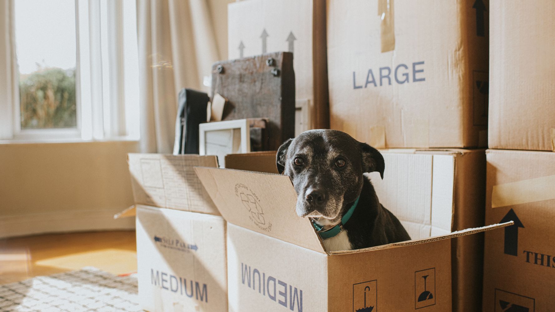 Moving House Soon? 9 Packing Tips The Pros Swear By | HuffPost UK Life