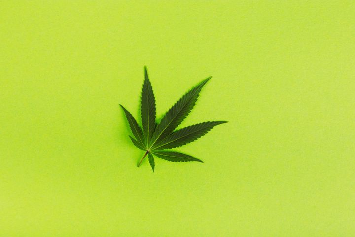 Beautiful green leaves of marijuana pattern on bright green background