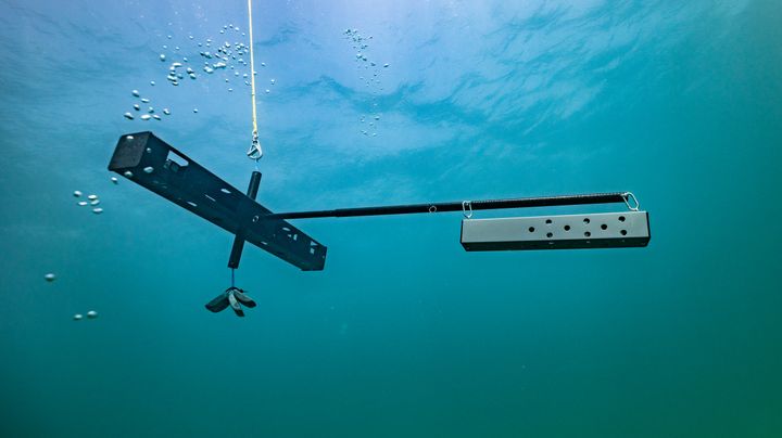 Each device has two action cameras and a baited trap to lure wildlife. They will be placed about 30 feet beneath the ocean's surface to record footage for two hours at a time.