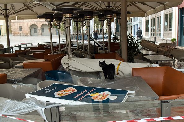 11 Νοεμβρίου 2020, Ναύπλιο: Μία γάτα κάνει τον περίπατό της πάνω στα τραπέζια ενος από τα εστιατόρια που παραμένουν κλειστά λόγω του lockdown. (Photo by Milos Bicanski/Getty Images)