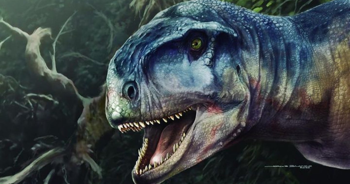 新種の恐竜がアルゼンチンで発見される その名も 恐怖をもたらすもの ハフポスト 新種の恐竜がアルゼンチンで発見される その名も 恐怖をもたらすもの ハフポスト