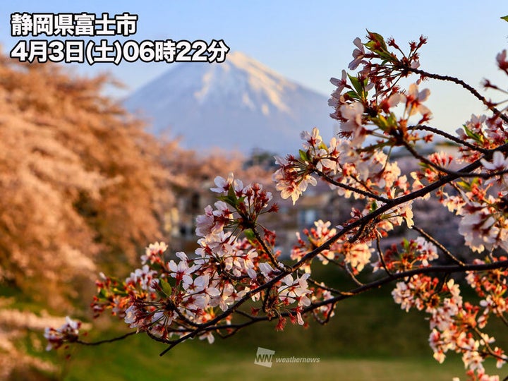 静岡県富士市