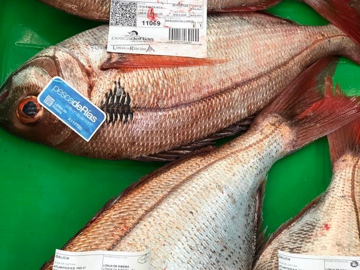 Ecoetiquetas. Una subasta en la lonja de Ribeira con Besugos certificados con pesca de Rias (flota artesanal) y Pescaenverde (bajo huella de carbono).
