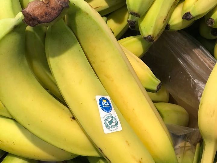 Ecoetiquetas. Venta a granel de banana con la certificación de Rainforest Alliance que verifica criterios ambientales y sociales.