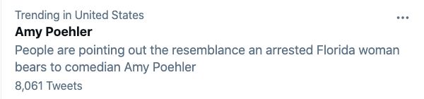 Twitter’s explanation for Poehler’s name trending was: “People are pointing out the resemblance an arrested Florida woman bears to comedian Amy Poehler.”
