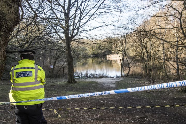 Wake Valley pond in Epping Forest where the body of 19-year-old Richard Okorogheye was found.