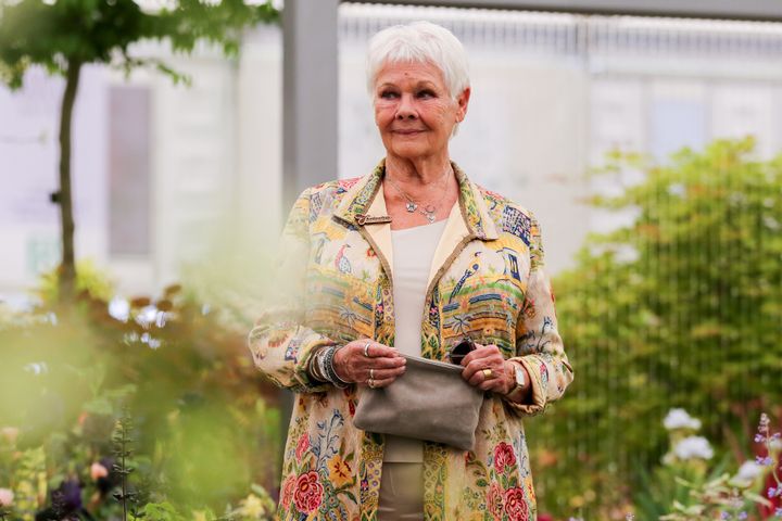 Dame Judi Dench at the Chelsea Flower Show in 2019