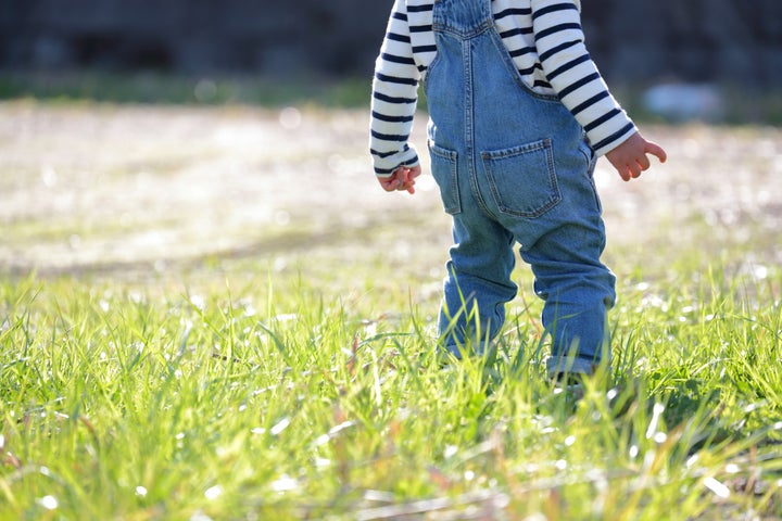 子どものための制度になっているのか（イメージ）