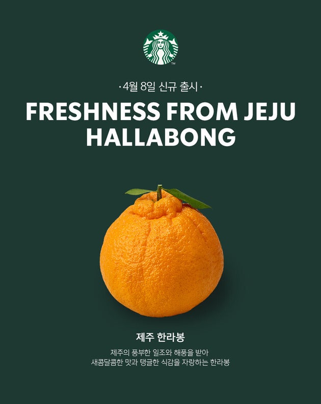 스타벅스 신제품 한라봉