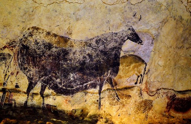 Photo d'une peinture préhistorique d'un taureau dans la grotte de Lascaux, prise en juillet 2008. 