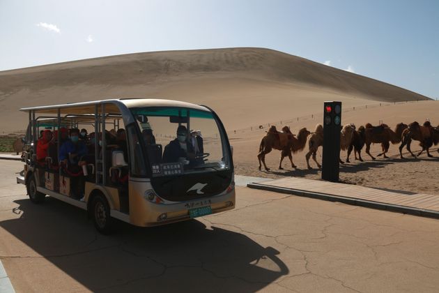 Τα πρώτα φανάρια στον κόσμο για καμήλες είναι