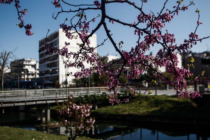 Υπέροχες εικόνες από τα Τρίκαλα