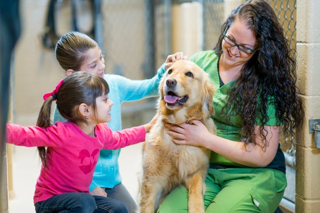 Con la pandemia è boom di cani Con la pandemia è boom di cani