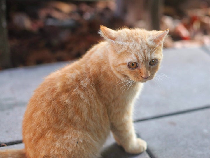 Photo taken in Bangkok, Thailand