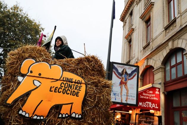 Adopté in extremis à l'Assemblée, le délit d'écocide symbolise les débats sur la loi Climat (photo d'illustration prise le 8 octobre 2019)