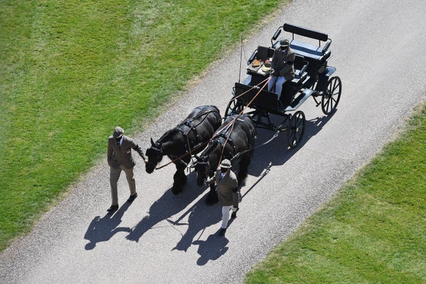 Les poneys tirent le chariot du duc d'Édimbourg au château de Windsor.