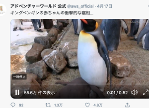 Pengin ハフポスト