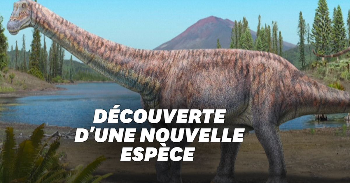 Una nueva especie de dinosaurio ha sido descubierta en Chile