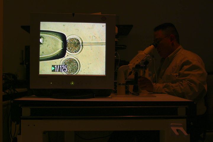 A 2005 photo shows a lab at ViaGen, a company in Texas that offers cloning of farm animals.