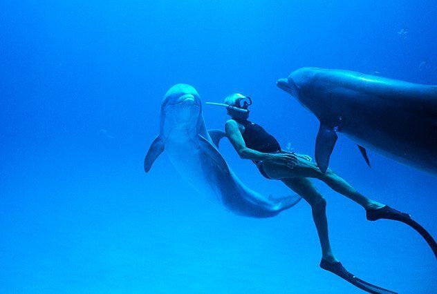 «Dolphin Man»