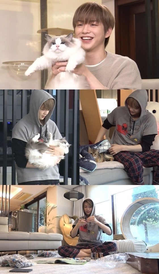강다니엘이