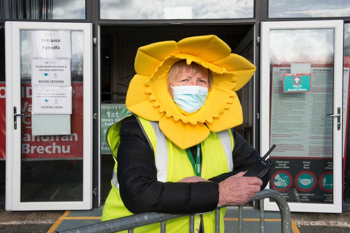 A volunteer at The Royal Welsh Showground, Builthwells.