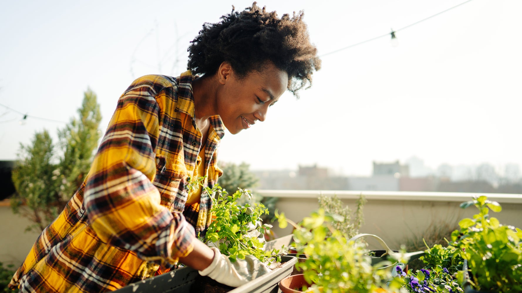 Develop Onerous Or Go Residence: 6 Causes Gardening Is Good For You