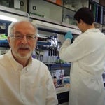 El mayor experto de coronavirus en España responde tajante a las dudas de Sanidad sobre la segunda dosis de