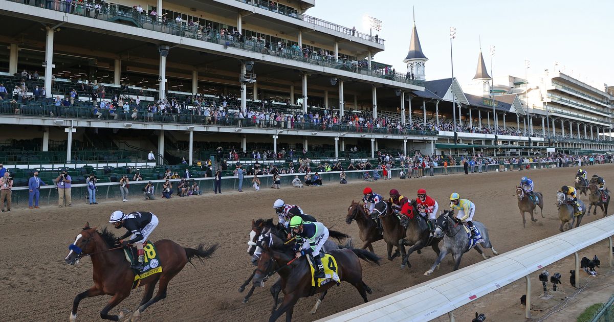 Thoroughbred Bargains  Kentucky Derby Museum