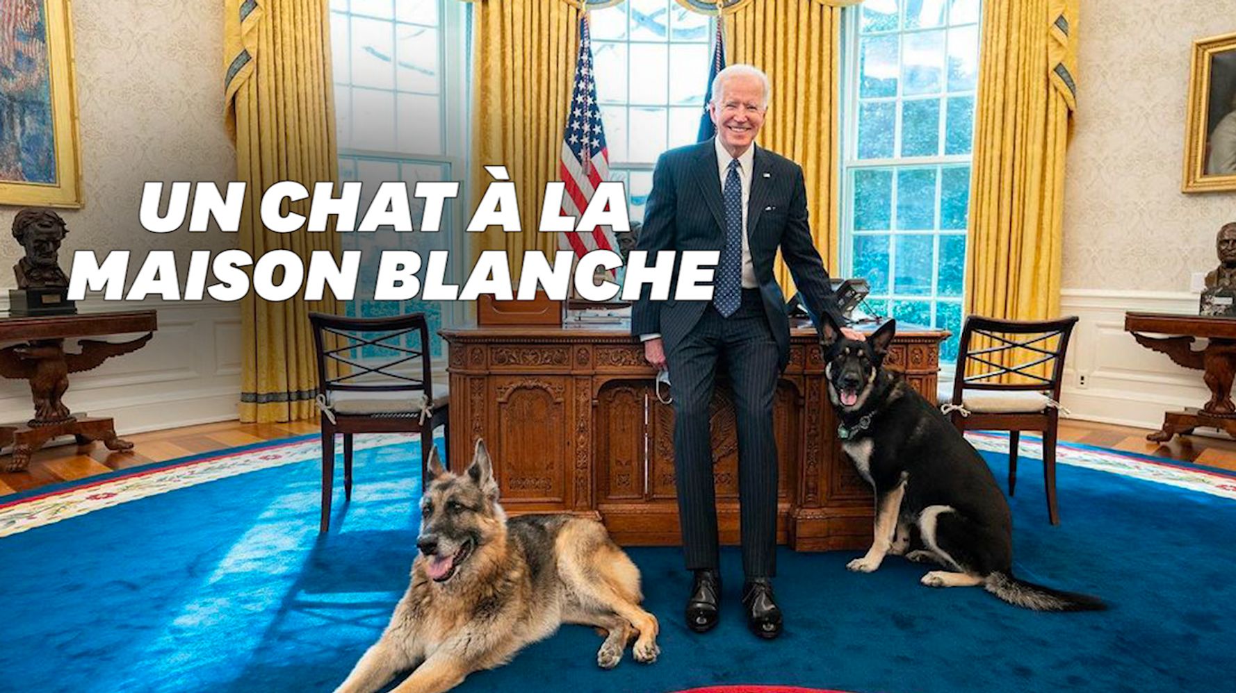 Joe Biden Et Sa Femme Jill Vont Accueillir Un Chat A La Maison Blanche Le Huffpost