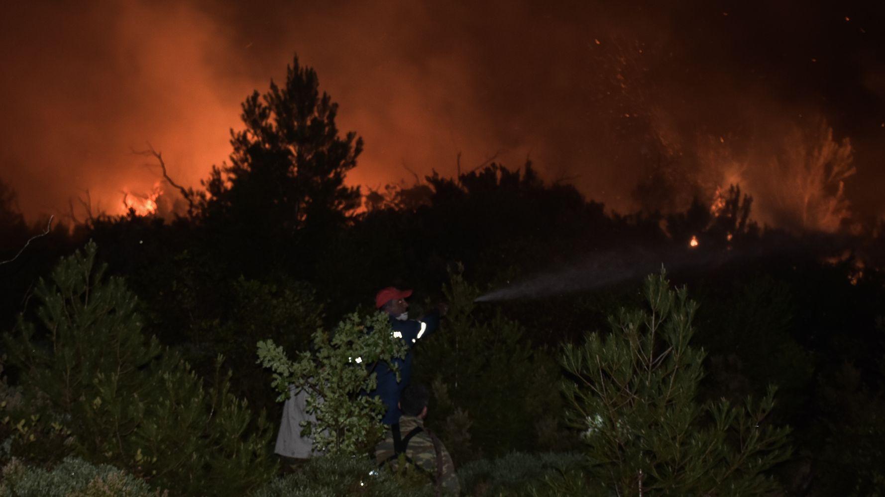Ηλεία: Ολονύχτια μάχη με τις φλόγες σε μεγάλη δασική πυρκαγιά | HuffPost Greece