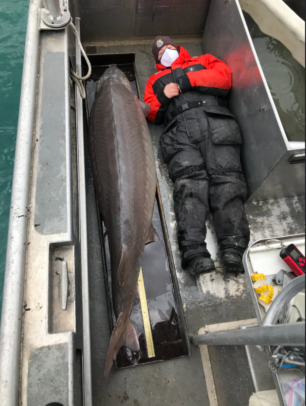 Jennifer Johnson poses with the "once in a lifetime catch."