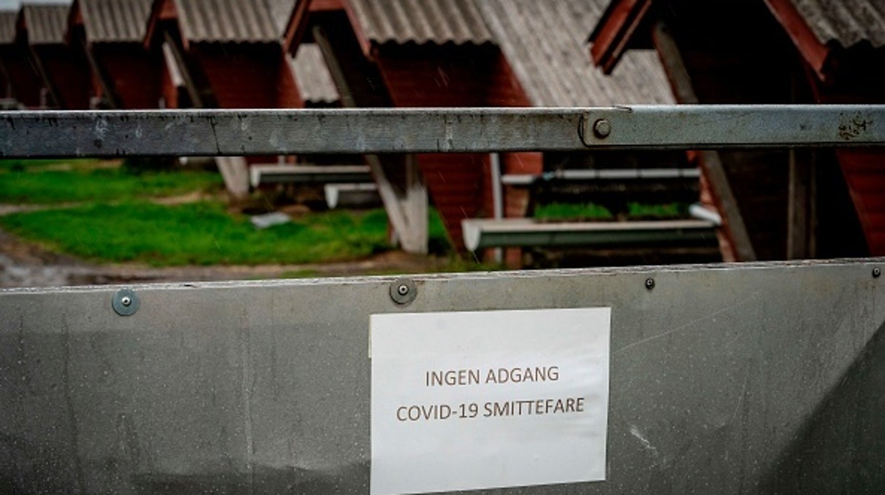 la danimarca blocca il vaccino johnson johnson l huffpost