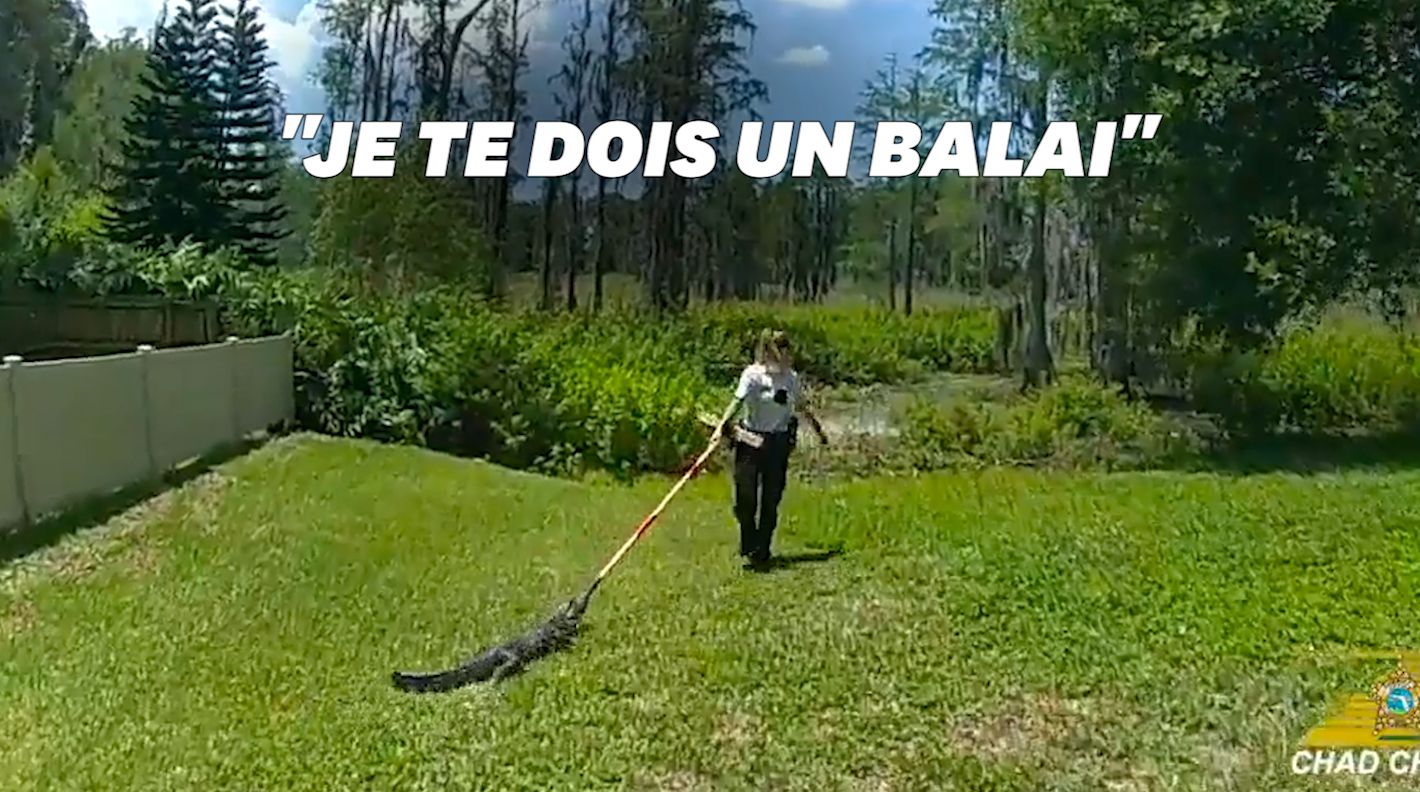 Aux États-Unis, ces officiers chassent un alligator avec un balai