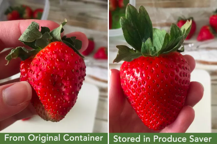 Rubbermaid FreshWorks Containers Keep Produce Fresh Longer - The  Neighborhood Moms