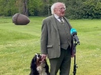 神妙なインタビュー中 手をはむはむ アイルランド大統領の愛犬がお茶目すぎると話題 癒し動画 ハフポスト 神妙なインタビュー中 手をはむはむ アイルランド大統領の愛犬がお茶目すぎると話題 癒し動画 ハフポスト