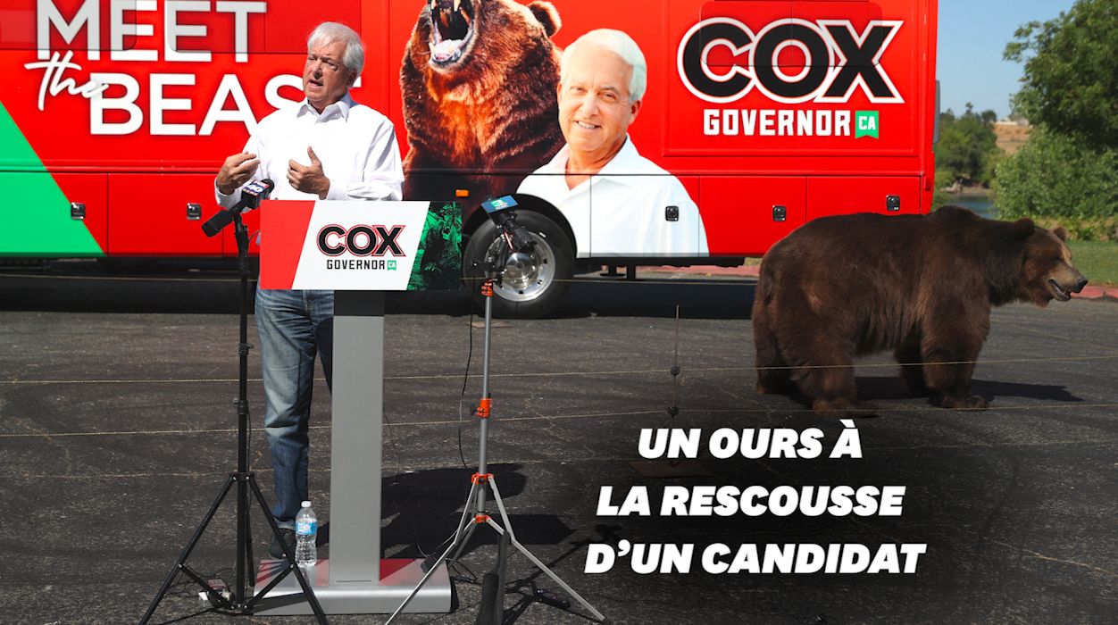 En Californie, John Cox, le candidat républicain, fait campagne avec un ours