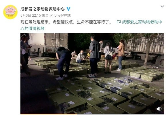 生きた犬や猫を箱詰めに 中身が分からない 動物版ブラインド ボックス か 中国で批判殺到 ハフポスト 生きた犬や猫を箱詰めに 中身が分からない 動物版ブラインド ボックス か 中国で批判殺到 ハフポスト