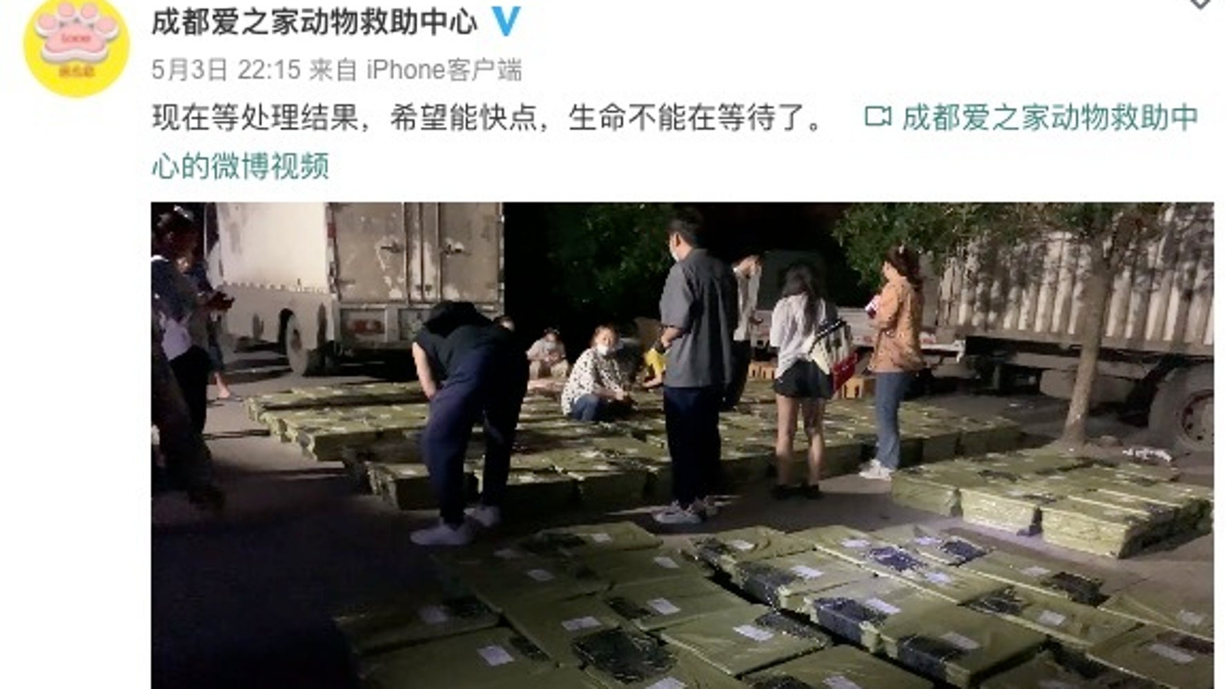 生きた犬や猫を箱詰めに 中身が分からない 動物版ブラインド ボックス か 中国で批判殺到 ハフポスト
